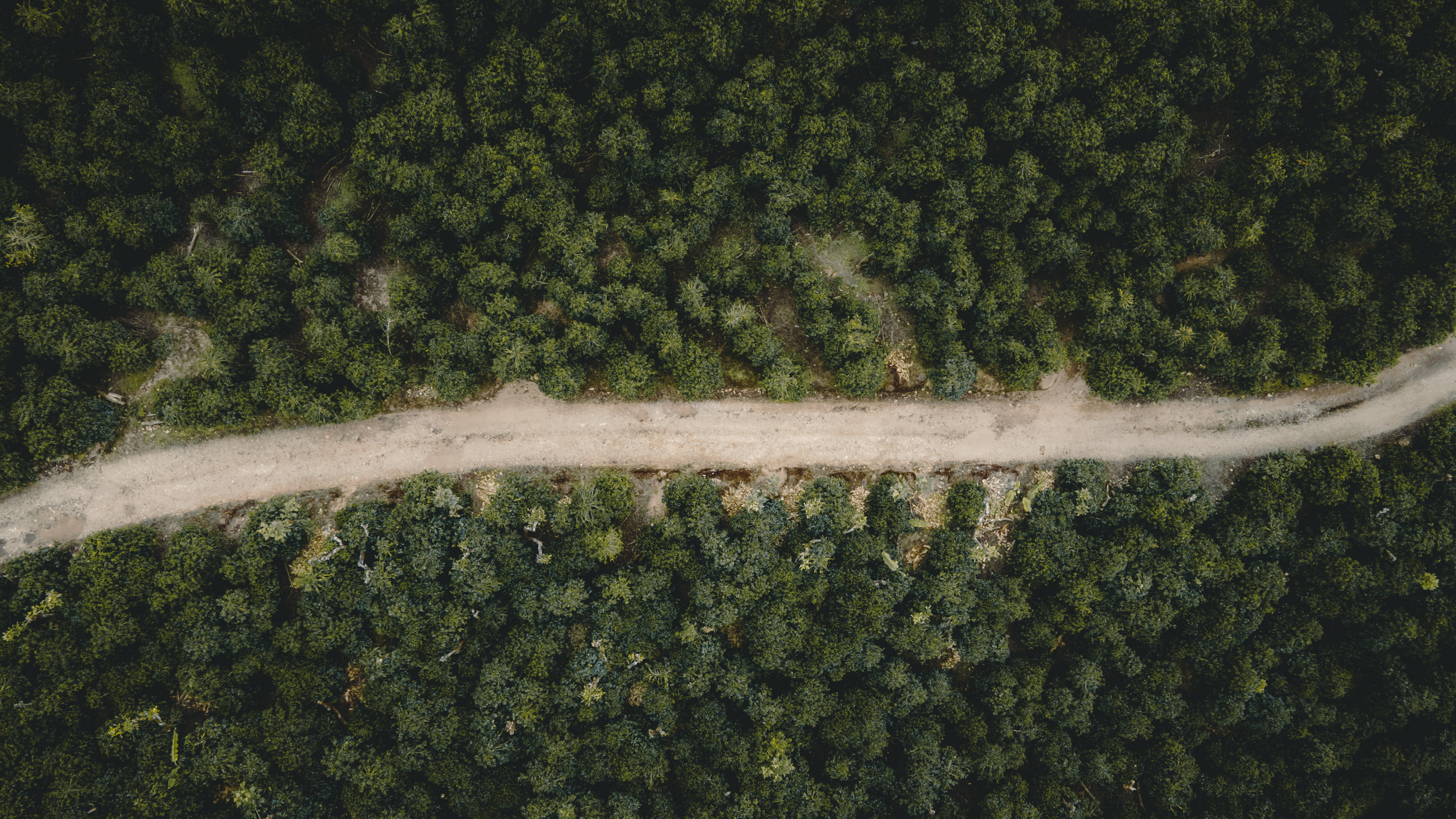 Contacto Vara Blanca